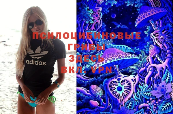 кокаин колумбия Алзамай