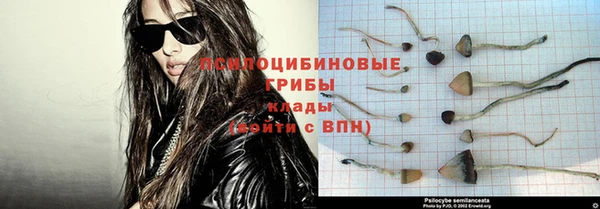 спиды Алексеевка