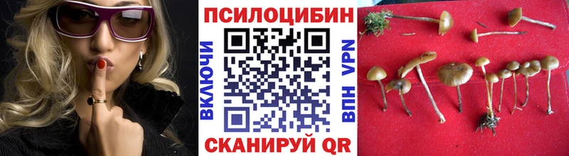 hydra ссылки  Заволжск  Псилоцибиновые грибы Cubensis 